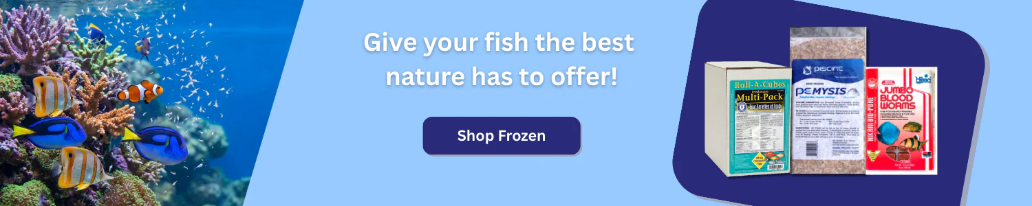 Premium Care for Every Pet